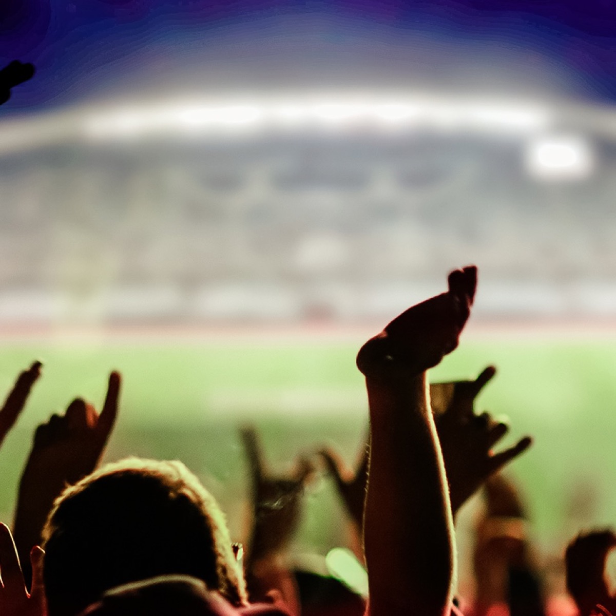 A floodlit pitch seen from behind a standing crowd with raised arms