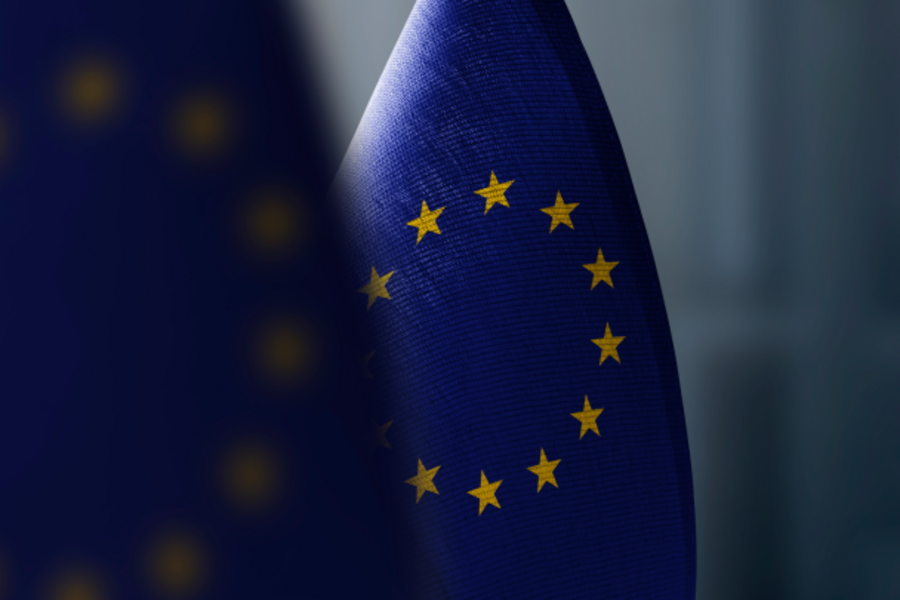 European Union flag with golden stars in front of a blurred background.