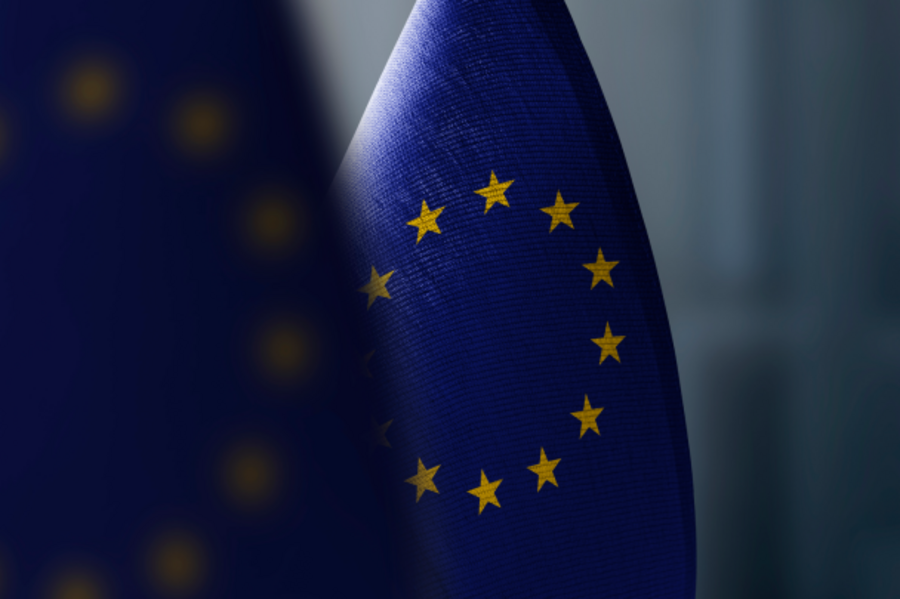 European Union flag with golden stars in front of a blurred background.