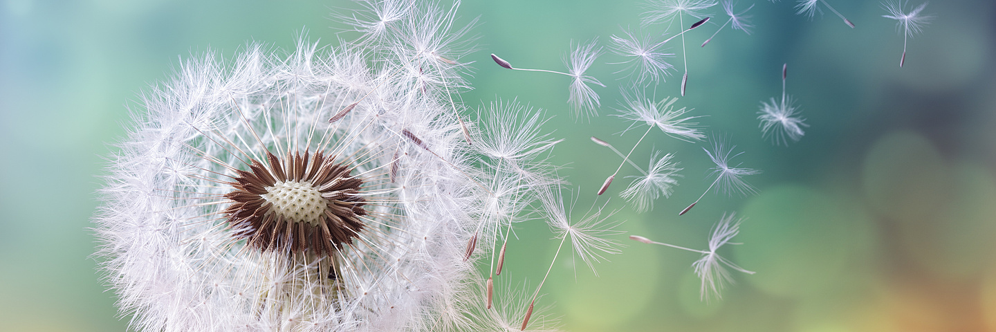 Cloud Consulting Framework