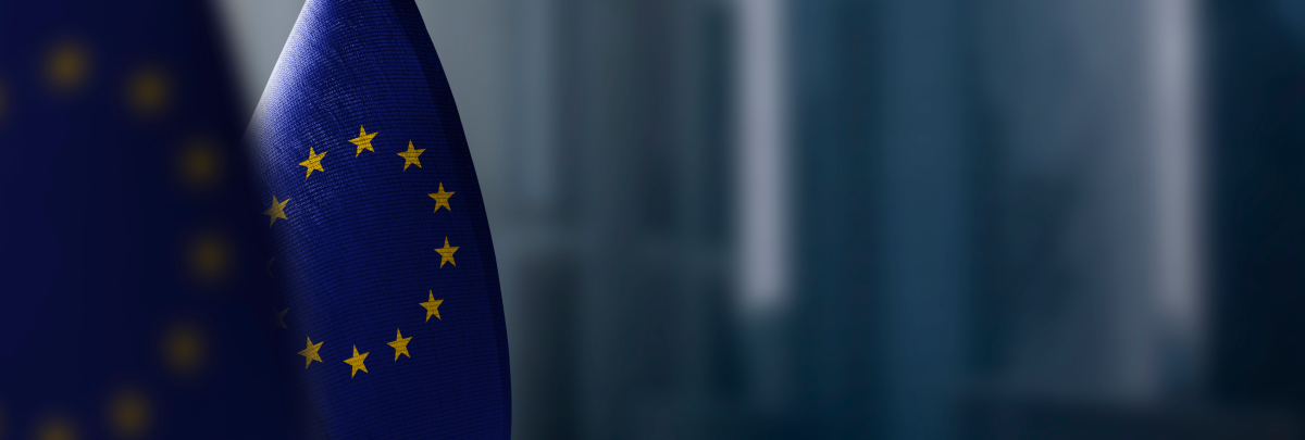 European Union flag with golden stars in front of a blurred background.